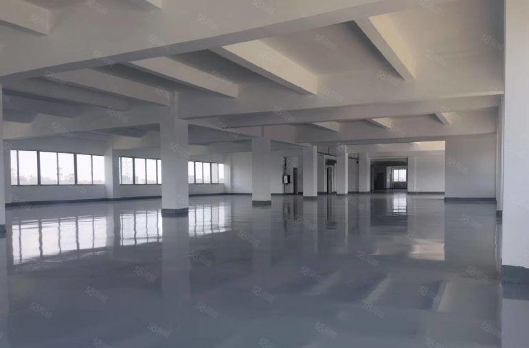 万江简装标准一楼500平方，800平方，1200平方招租