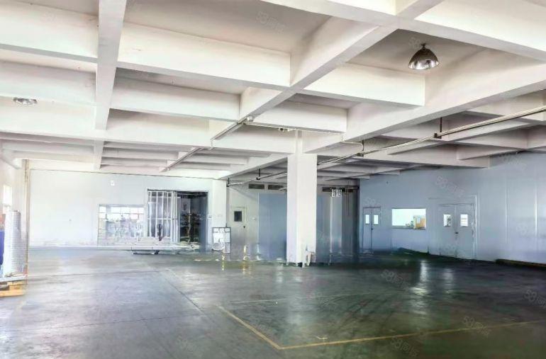 万江大量一楼厂房600平方，1000平方，1500平方