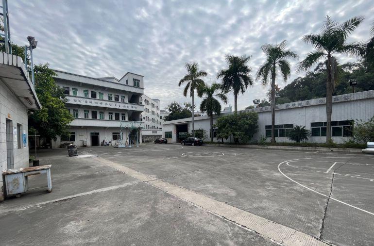 万江新空地1000平原原房东独院厂房出租适合五金注塑模具