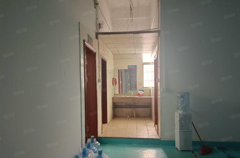 万江简沙洲新出原房东独院厂出租