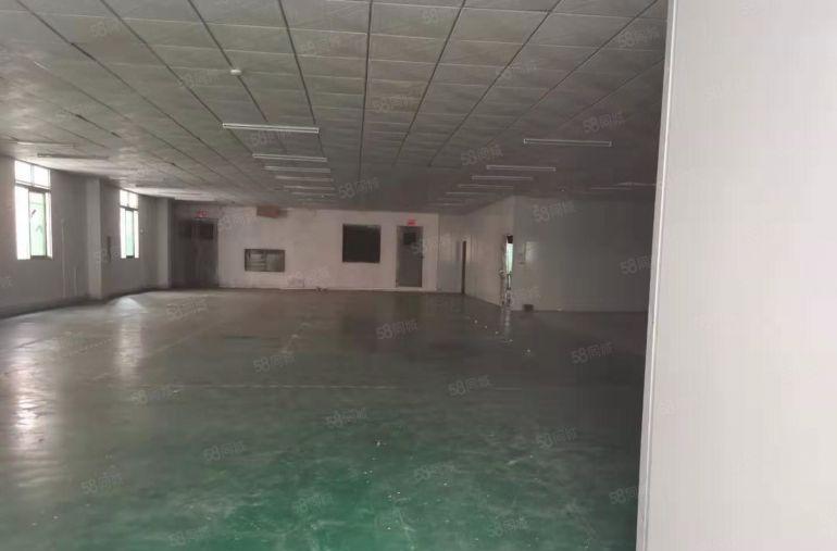 万江大汾工业聚集地，现成装修办公室厂房出租