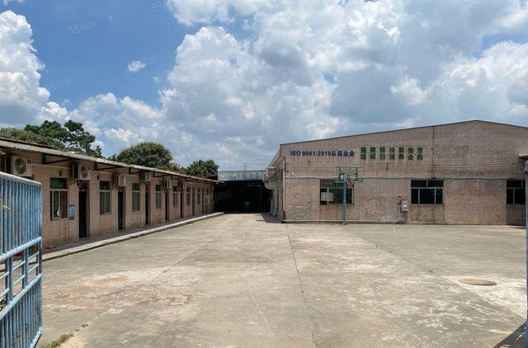 万江新出原房东独门独院单一层空地超大带独栋办公室适合各行各业