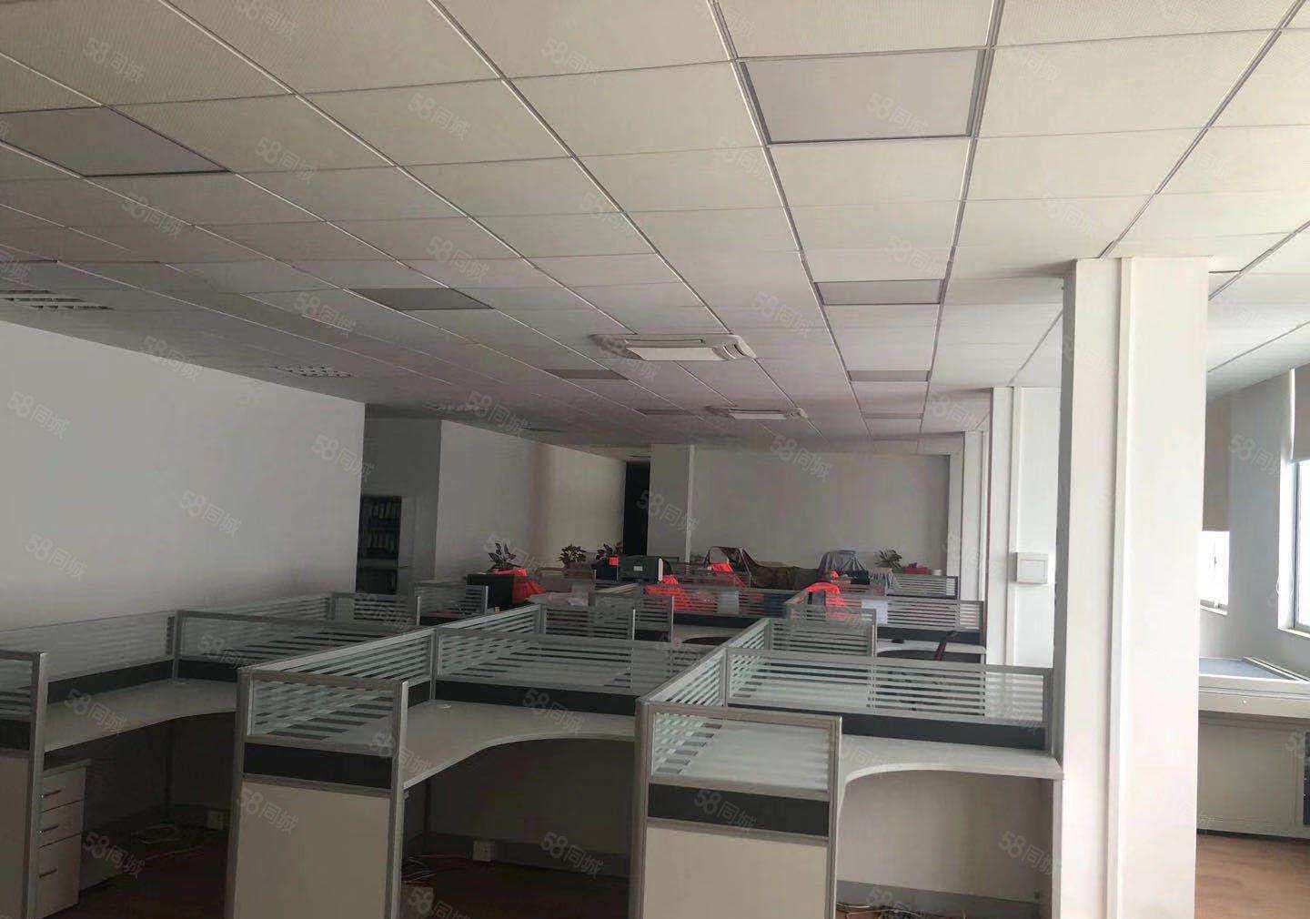 万江简装标准一楼500平方，800平方，1200平方招租