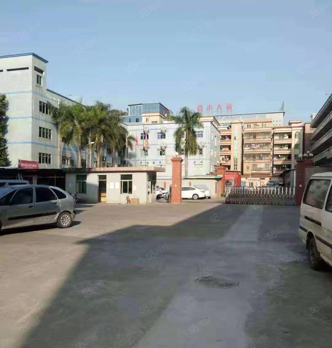 万江（水蛇涌）科技园独院靓厂房招租