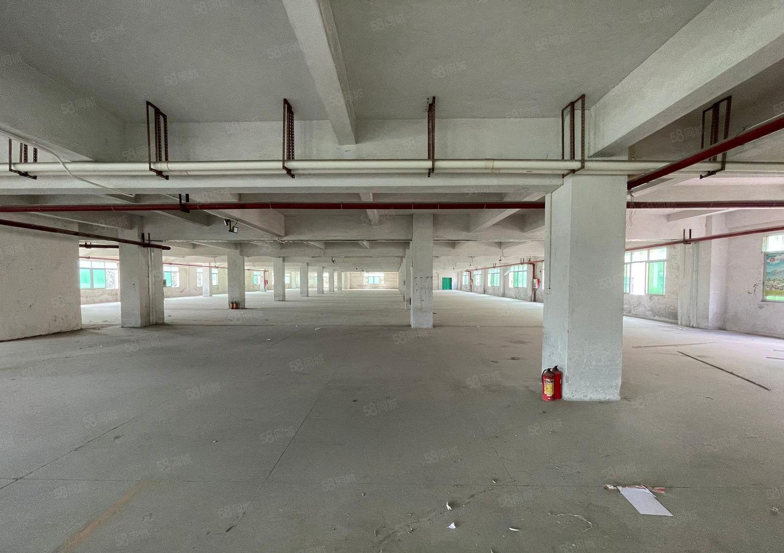 万江新和工业园标准二楼三楼各2200平方出租水电齐全院子超大