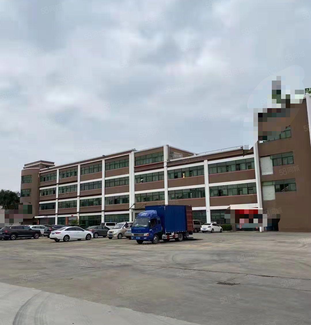 万江600平方标准厂房出租，有两间办公室，有宿舍，有空地停车