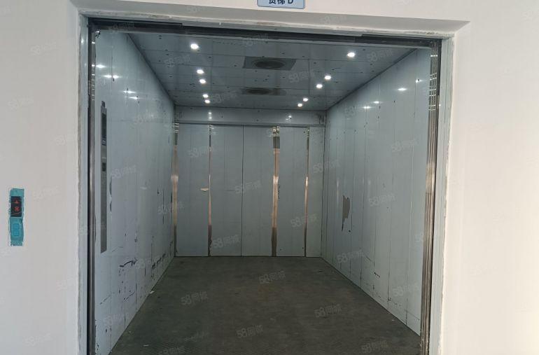 万江简沙洲厂房全新1000，2000，10000平方出租