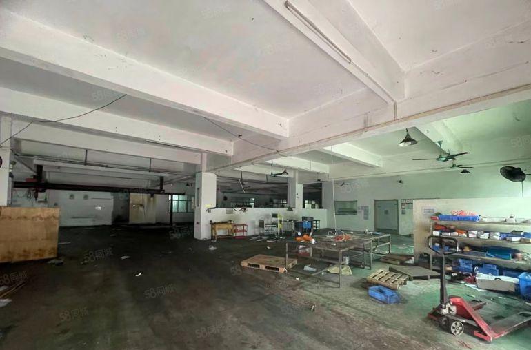 共联工业区标准1楼1350平方至2350平方可分租