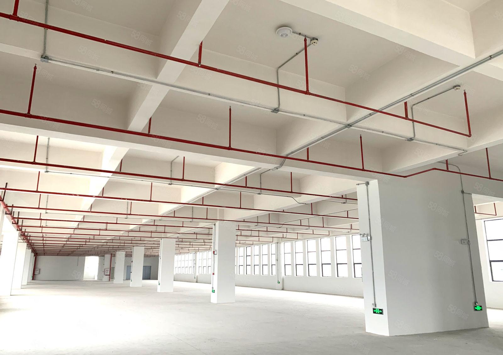 物业直租万江港口大道边产业园厂房写字楼 价格面议