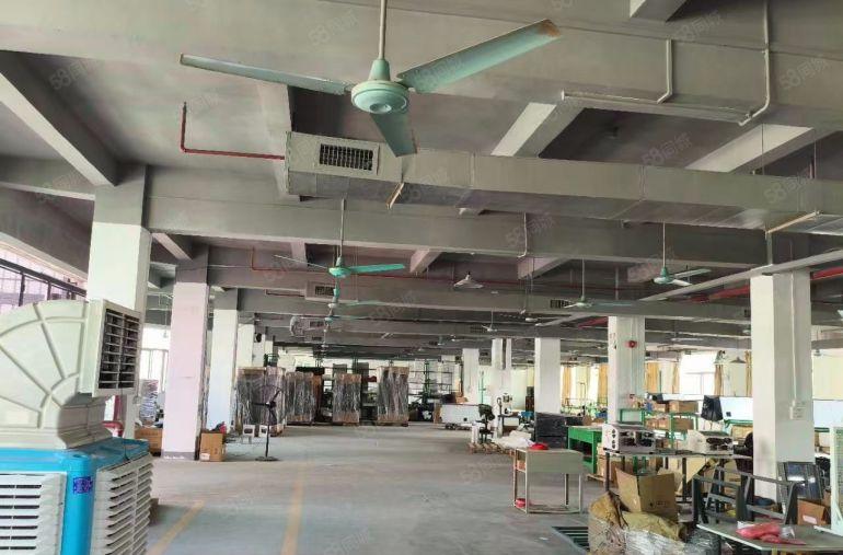 万江大量一楼厂房600平方，1000平方，1500平方