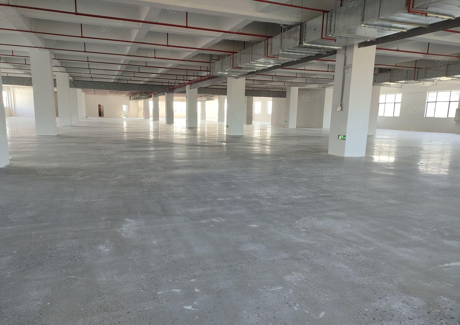 证件齐全空地超大雨污分流完善标准厂房二楼水电线路齐全办公宿舍