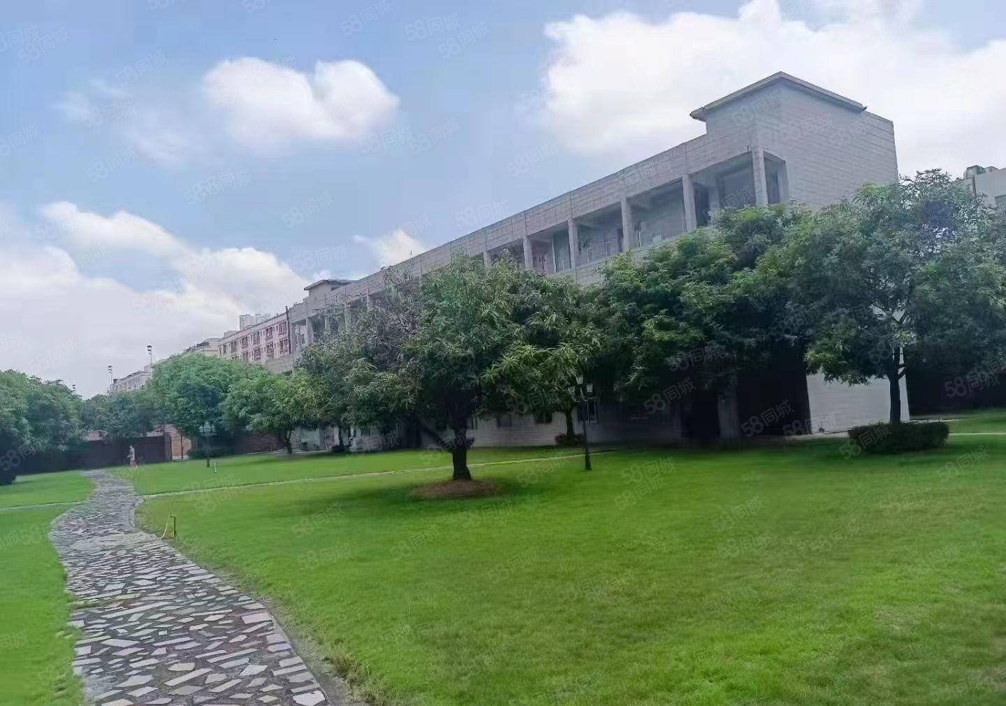 万江花园式独院标准厂房12000平方出租，可整租可分租