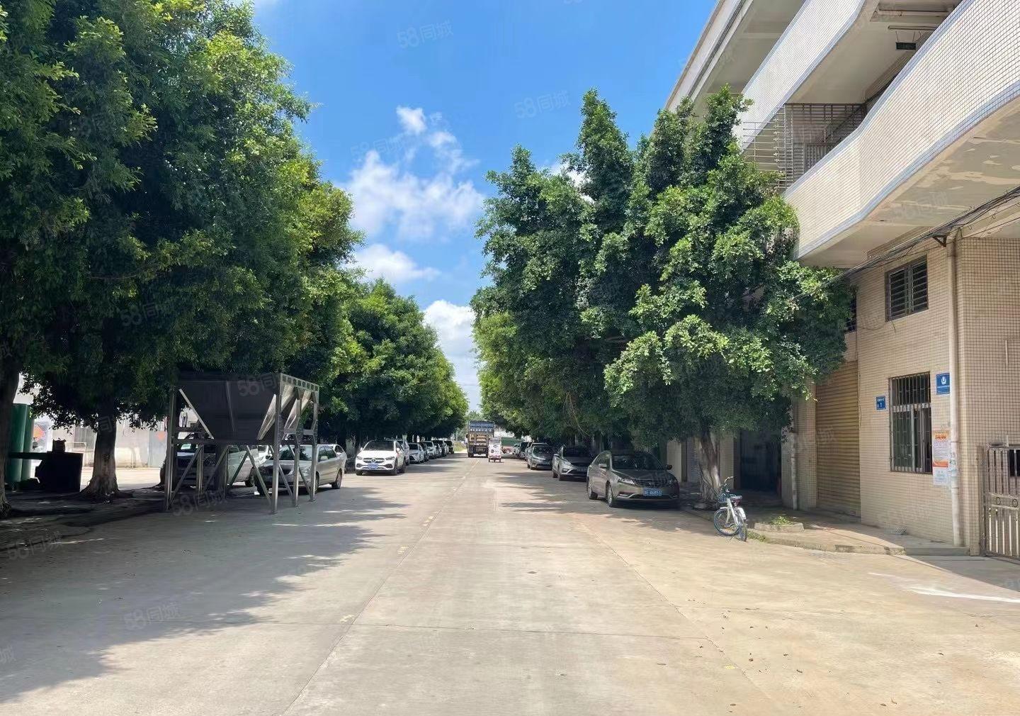 万江莫屋独门独院分租