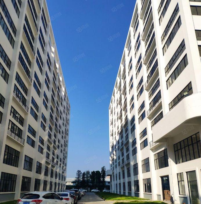 万江中创汇智盈科技园20000方全新独栋厂房出租，可分租