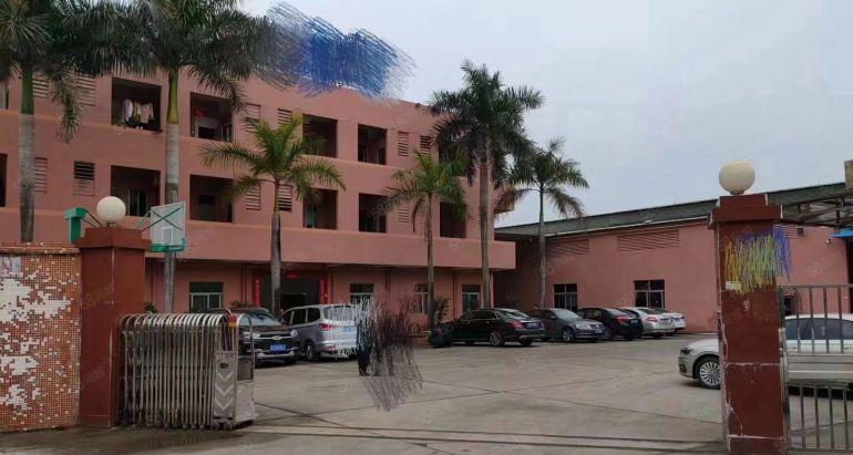 万江上甲原房东2000单一层独院厂房仓库低价出租