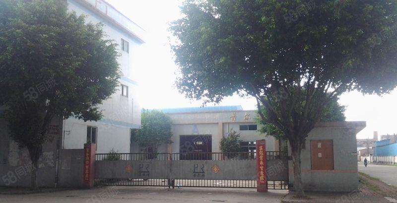 （可办环评）独门独院厂房2000平方或独院3000平方