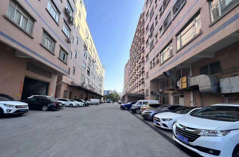 万江独院钢构厂房带隔热层1230平招租中