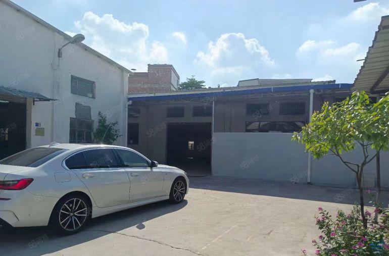 万江新空独院一手房东600至1000平单一层厂房