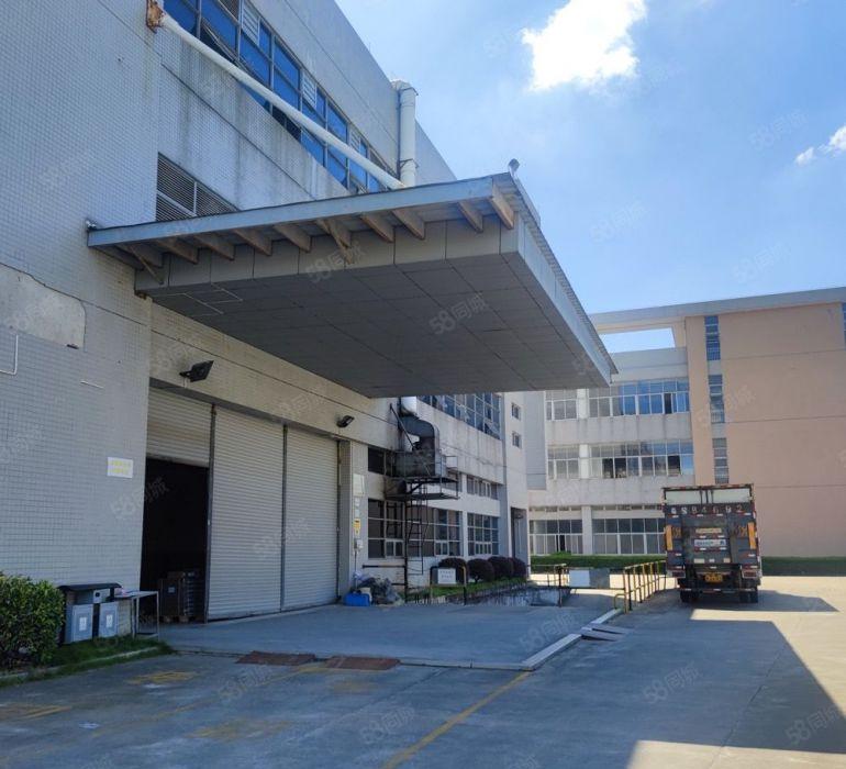 万江南城仓库大平层标准厂房两台3吨货梯电容大2个标准卸货平台