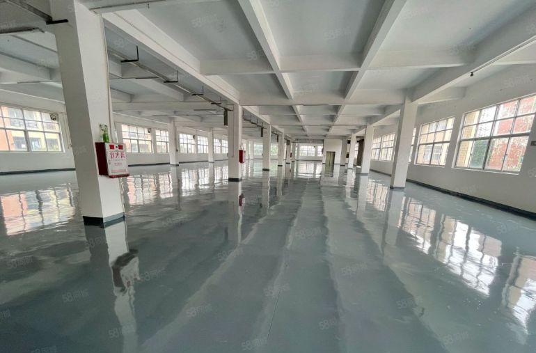 万江独院5700平方标准厂房出租形象好院子大配套齐全