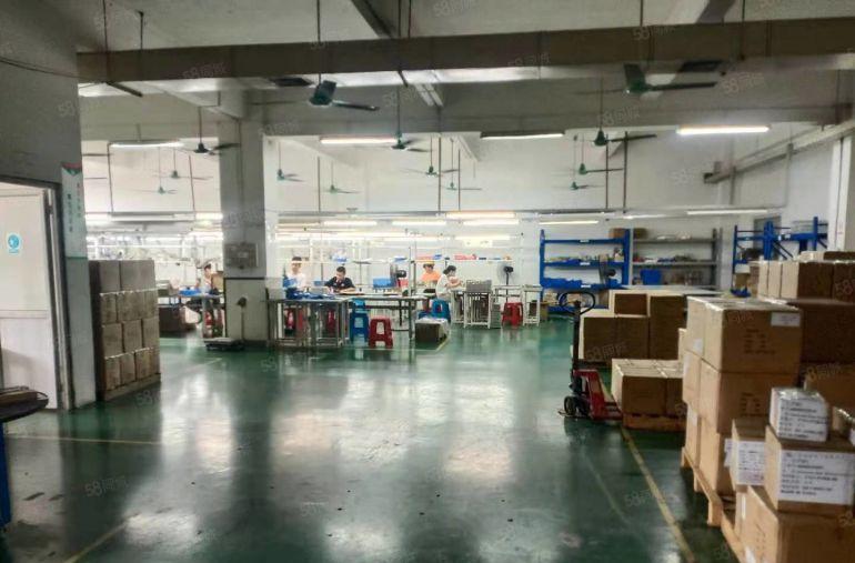 万江新和空出，全新装修，价格便宜厂房出租