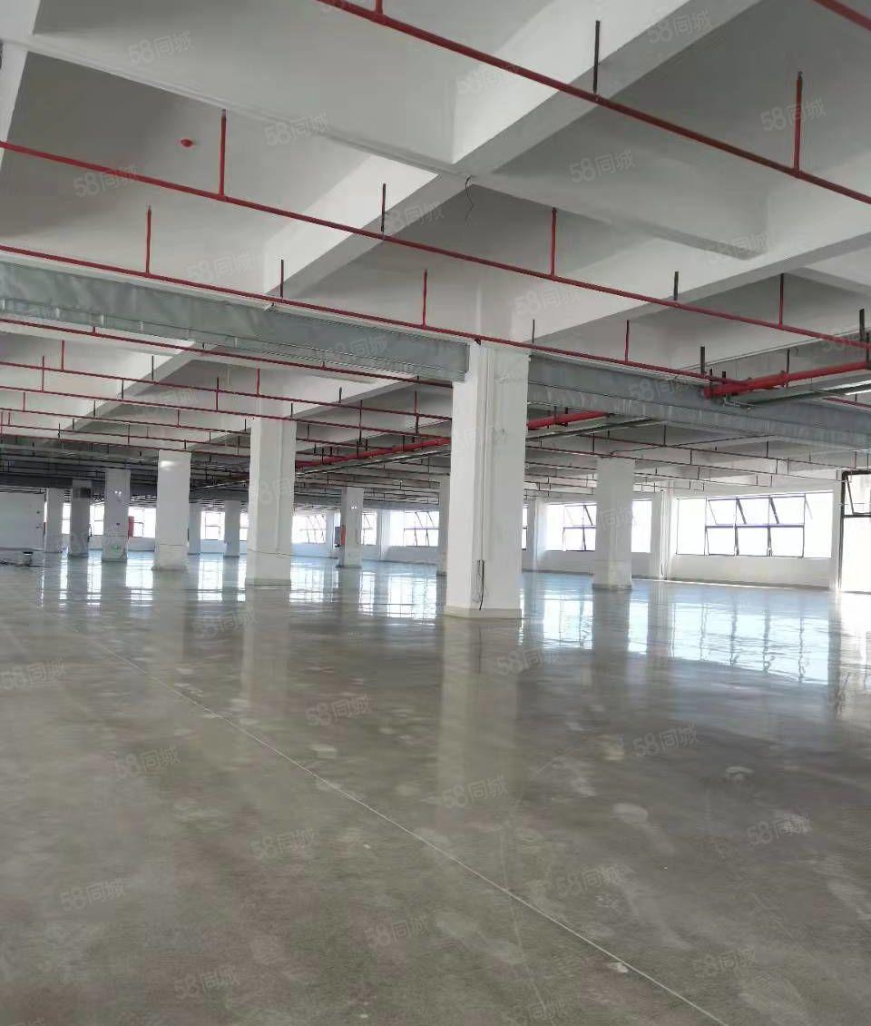 万江高新产业园工业用地红本厂房丙二类消防能办环评