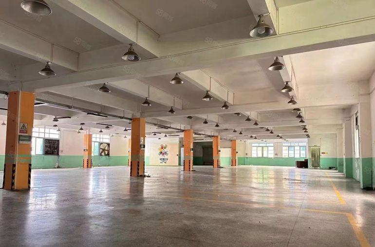 万江独院全新地坪漆1250平8.8元出租，空地大，交通好！