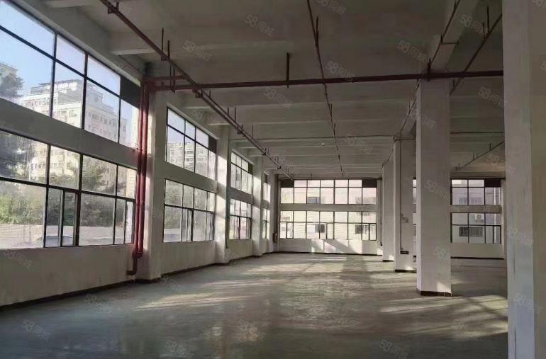 万江区新和独院厂房出租1500平方.空地大价格便宜