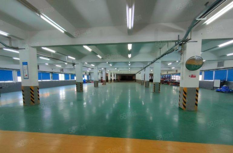 万江环城路以外原房东独栋标准厂房出租，带现成装修，交通便利