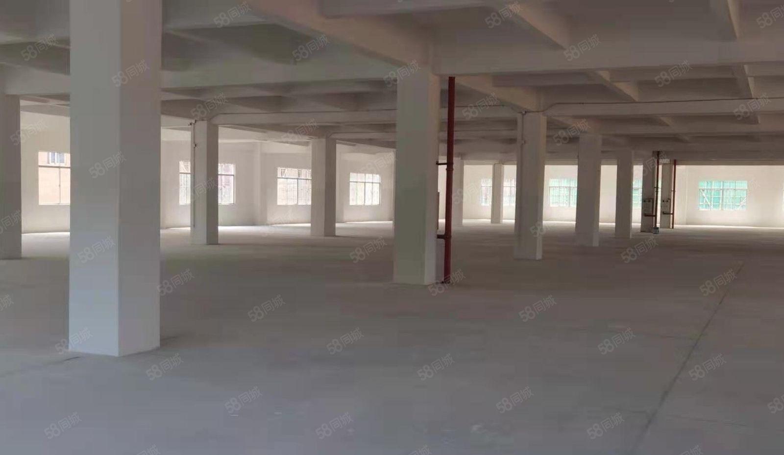 万江新出标准靓厂房，形象靓户型好，适合电子设备仓储