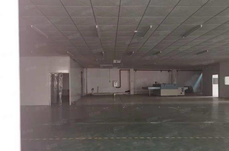 万江大汾工业聚集地，现成装修办公室厂房出租