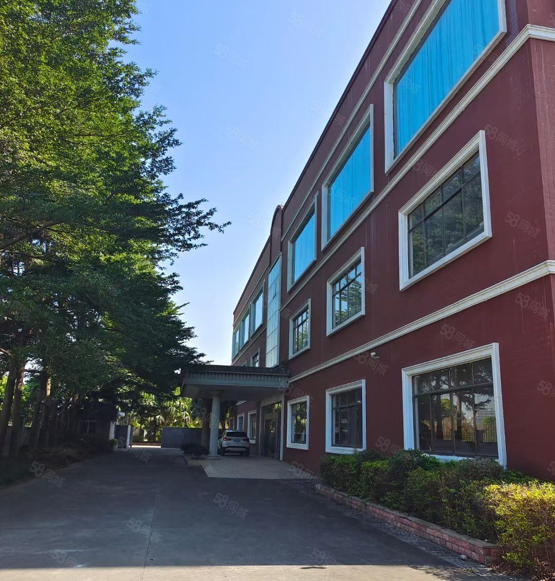 万江标准厂房出租1250平方，电100KVA，现成装修形象好