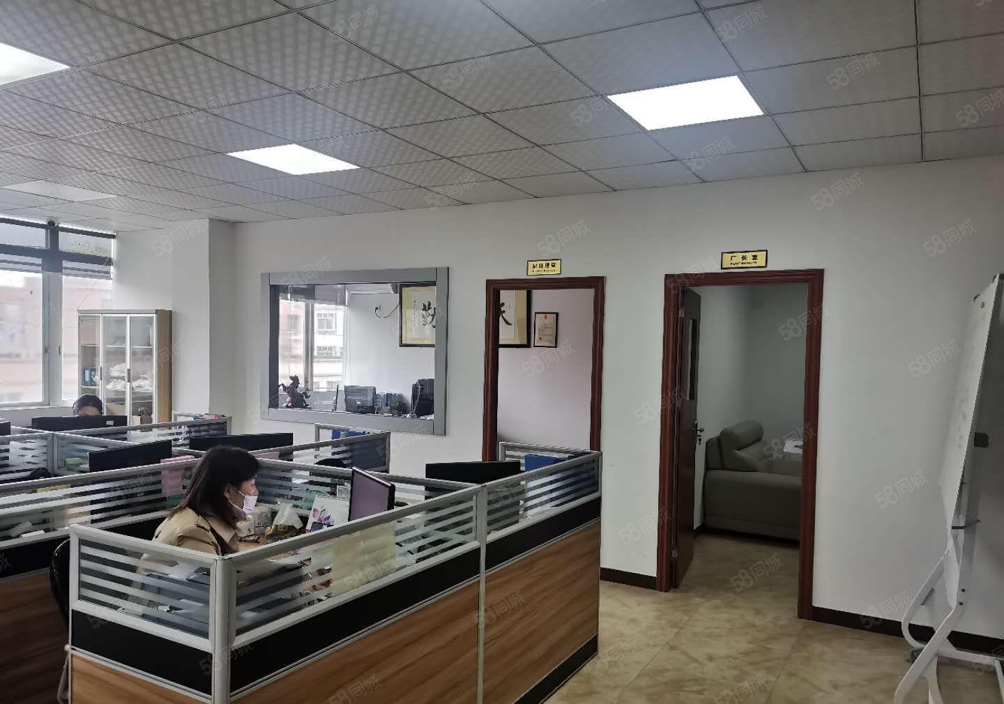 万江小享新出独门独院12300平方厂房出租