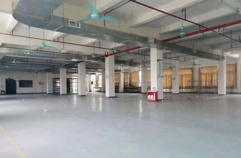 万江新出高新科技园独门独院12500平方厂房出租