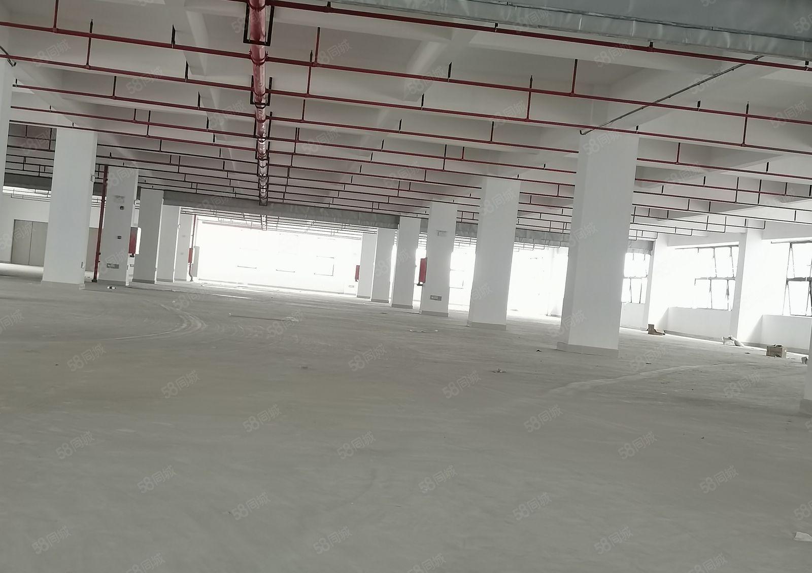 全新红本独栋厂房招租（23100）