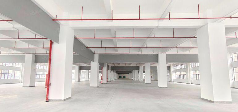 24万平全新超高标准产业园招租超长产线138米花园式厂