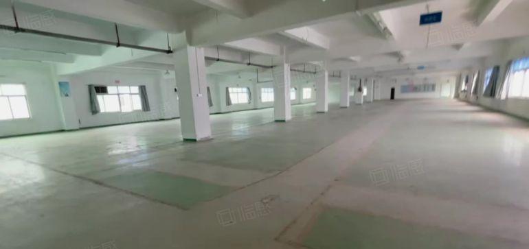 万江大莲塘三楼1700平方有现成办公室水电齐全院子大好招工