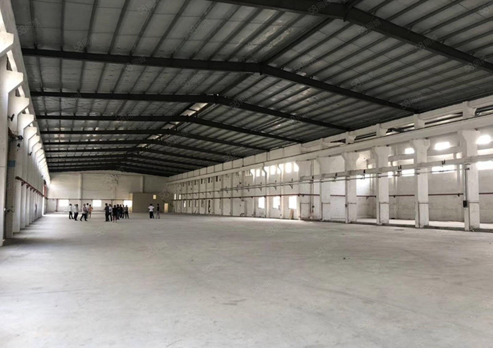 万江严屋独院单一层3250平厂房配电400K滴水7米配套齐全