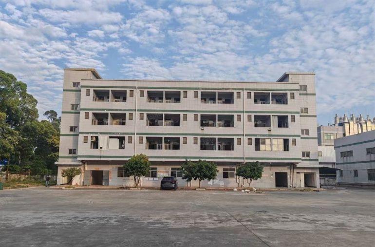 万江简沙洲港口大道旁原房东滴水8米单一层独院厂房出租