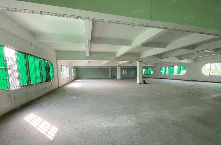 万江石美三楼整层1300平方厂房出租水电齐全现成办公室院子大