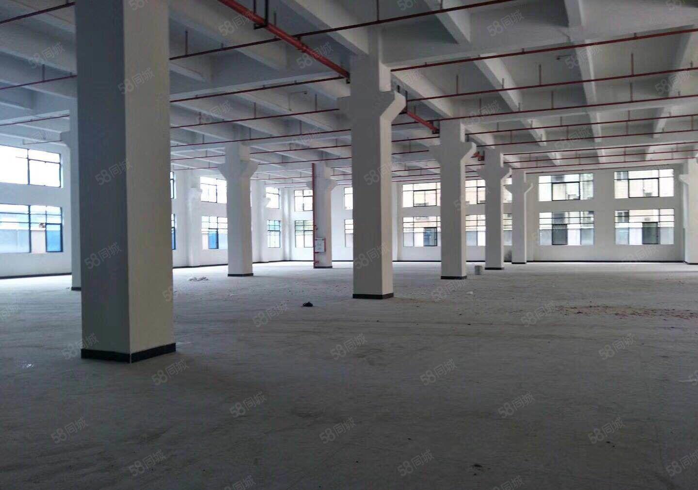 万江镇新空出标准工业园花园厂房2360平方厂房出租，易招工