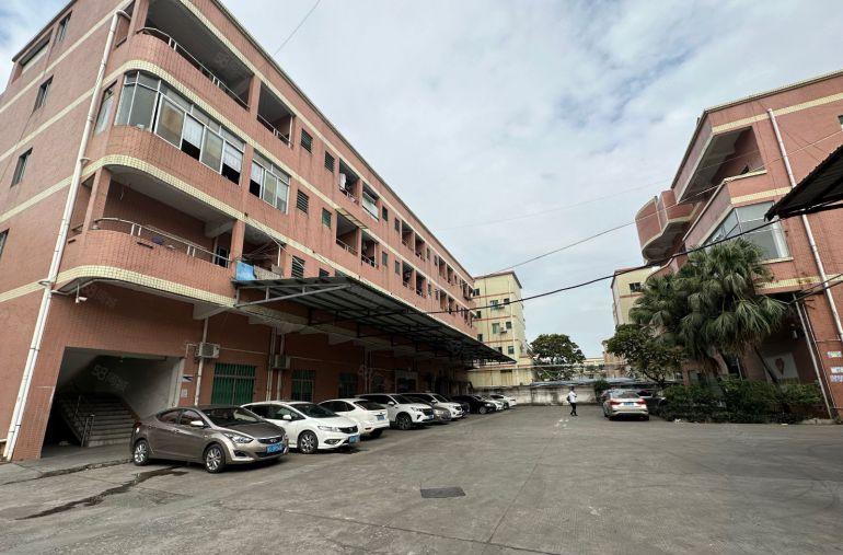 万江新村标准厂房2500平方带水电带装修办公室地坪漆一楼6米