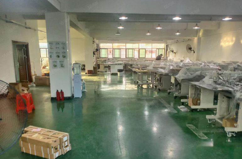 万江石美全新地坪超靓标准厂房出租