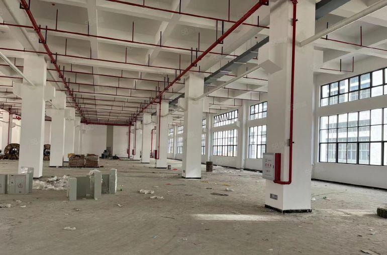 东莞市万江独院厂房出租，全新独院厂房出租，红本双证齐全。