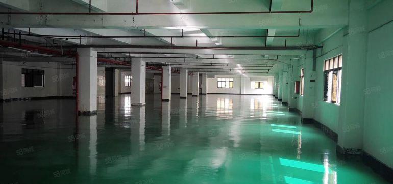 万江简沙洲4000平米原房东独院厂房低价出租