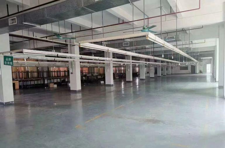 万江新出高新科技园独门独院12500平方厂房出租