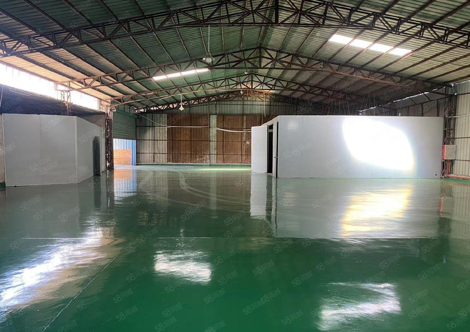 万江原房东简沙洲独院标准单一层钢构2000平厂房低价出租