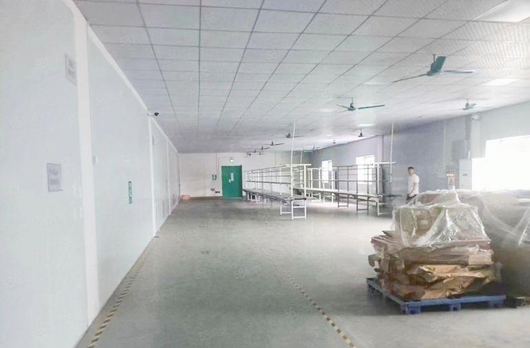 万江道滘标准厂房出租，园区带办公室