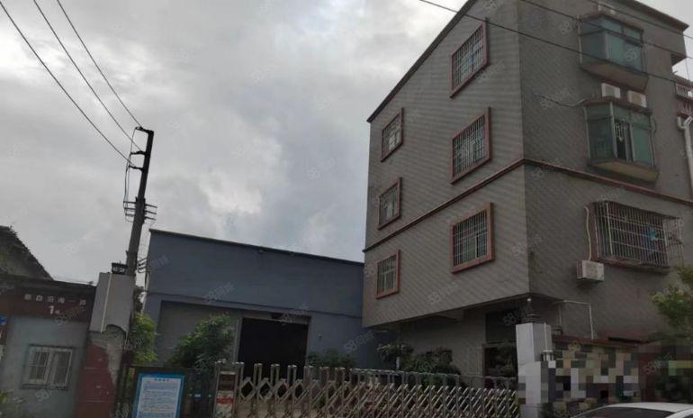 万江新空独院一手房东600至1000平单一层厂房