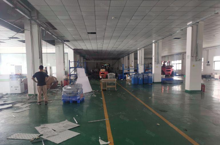 万江石美工业区新出标准厂房一楼800平方可以分租